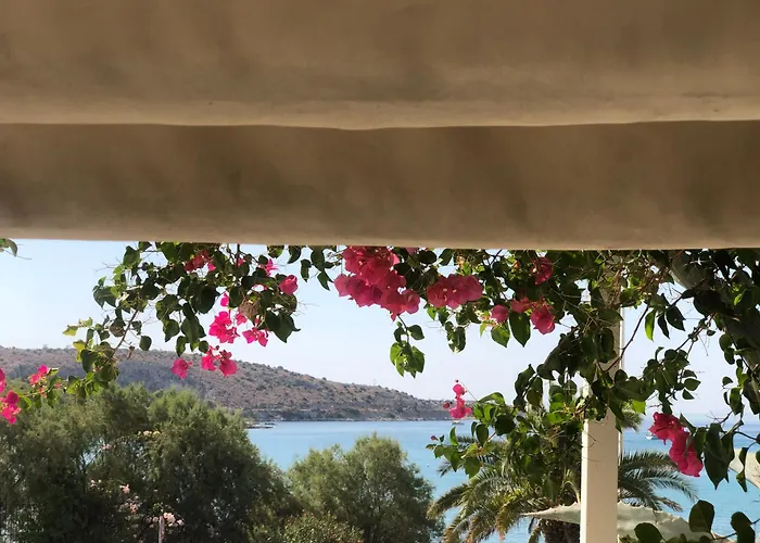 Seaside Apartment